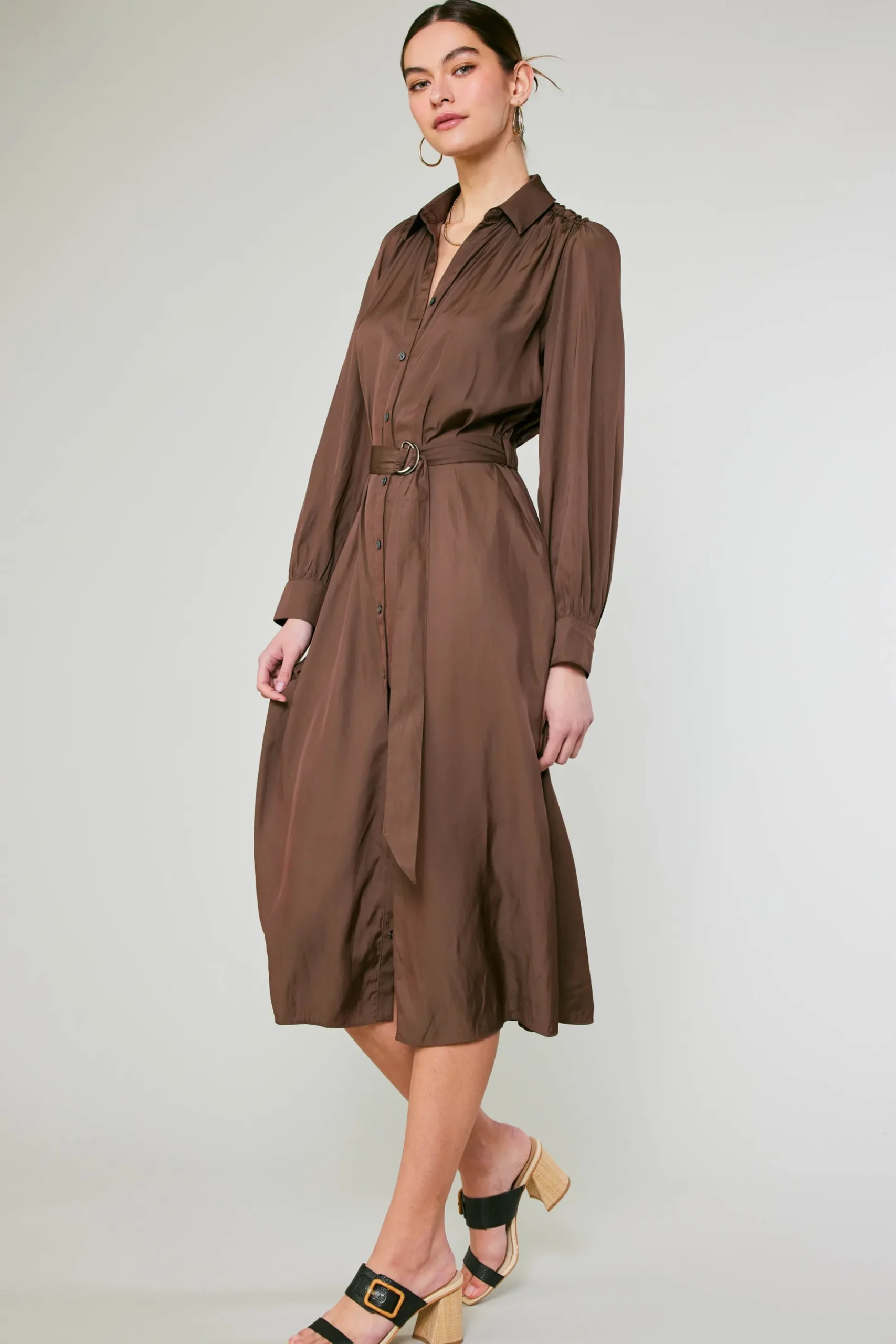 Belted Buttondown Shirt Dress