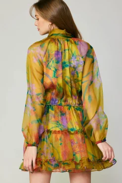 Floral Organza Mini Dress