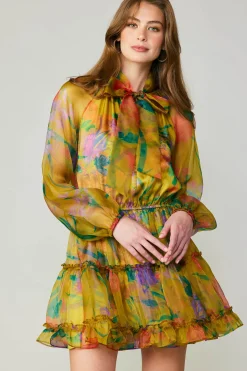 Floral Organza Mini Dress