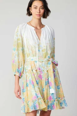 Gradient Floral Motif Mini Dress