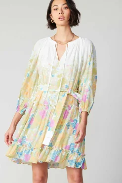 Gradient Floral Motif Mini Dress