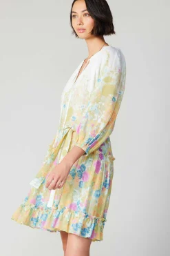 Gradient Floral Motif Mini Dress