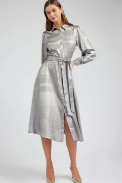 Metallic Buttondown Dress