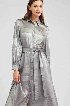 Metallic Buttondown Dress
