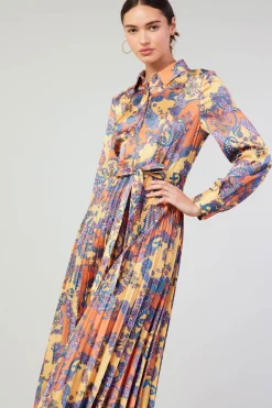 Paisley Pleated Maxi Dress
