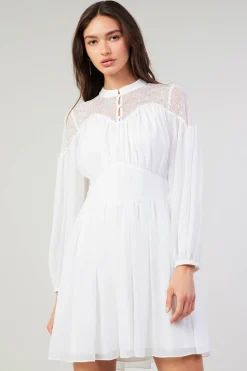 Palermo Lace Collared Mini Dress