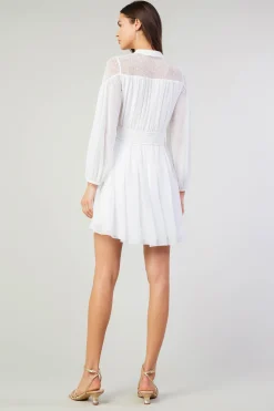 Palermo Lace Collared Mini Dress