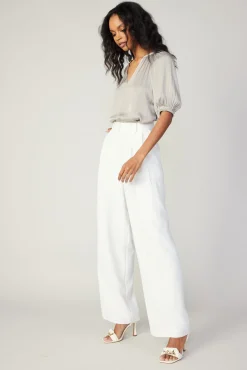 Pleated Wide Leg Pants