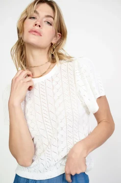 Pointelle Knit Sweater Top