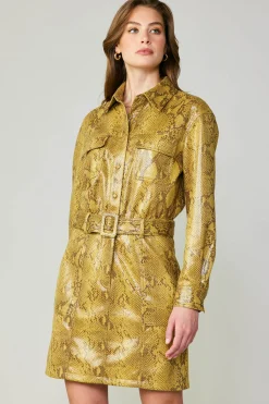 Snakeskin Shirt Dress