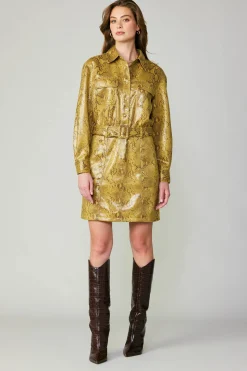 Snakeskin Shirt Dress