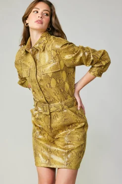 Snakeskin Shirt Dress